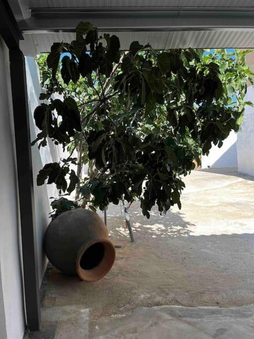 Agradable Casa Con Chimenea Interior Y Barbacoa. Villa Graja de Iniesta ภายนอก รูปภาพ
